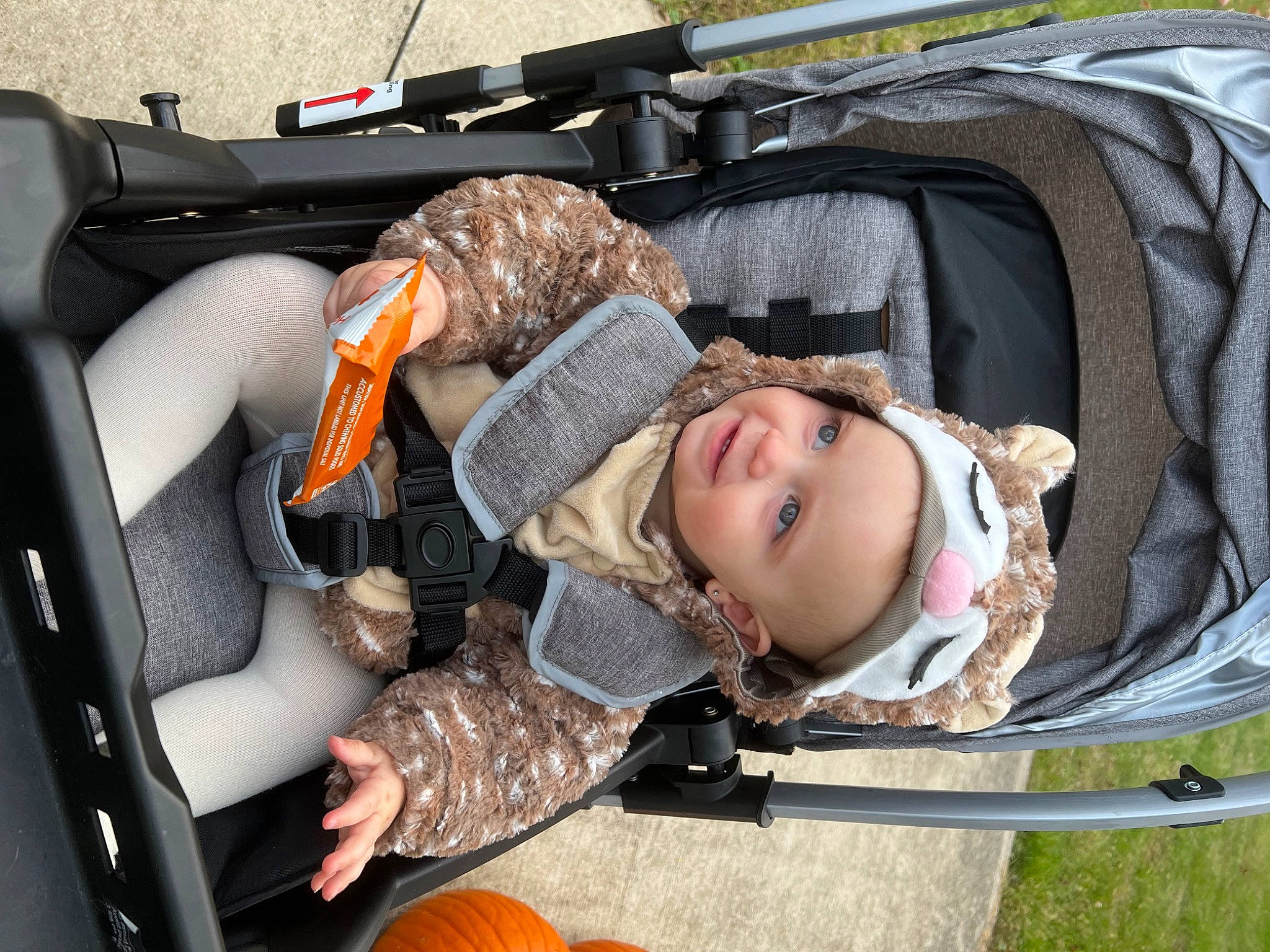 Avalynn joined the competition — help win amazing prizes! automotive_design, baby_carriage, baby_products, calabaza, car, car_seat, child, comfort, cucurbita, gourd, headwear, motor_vehicle, person, personal_luxury_car, pumpkin, smile, toddler, tree, vegetable, vehicle