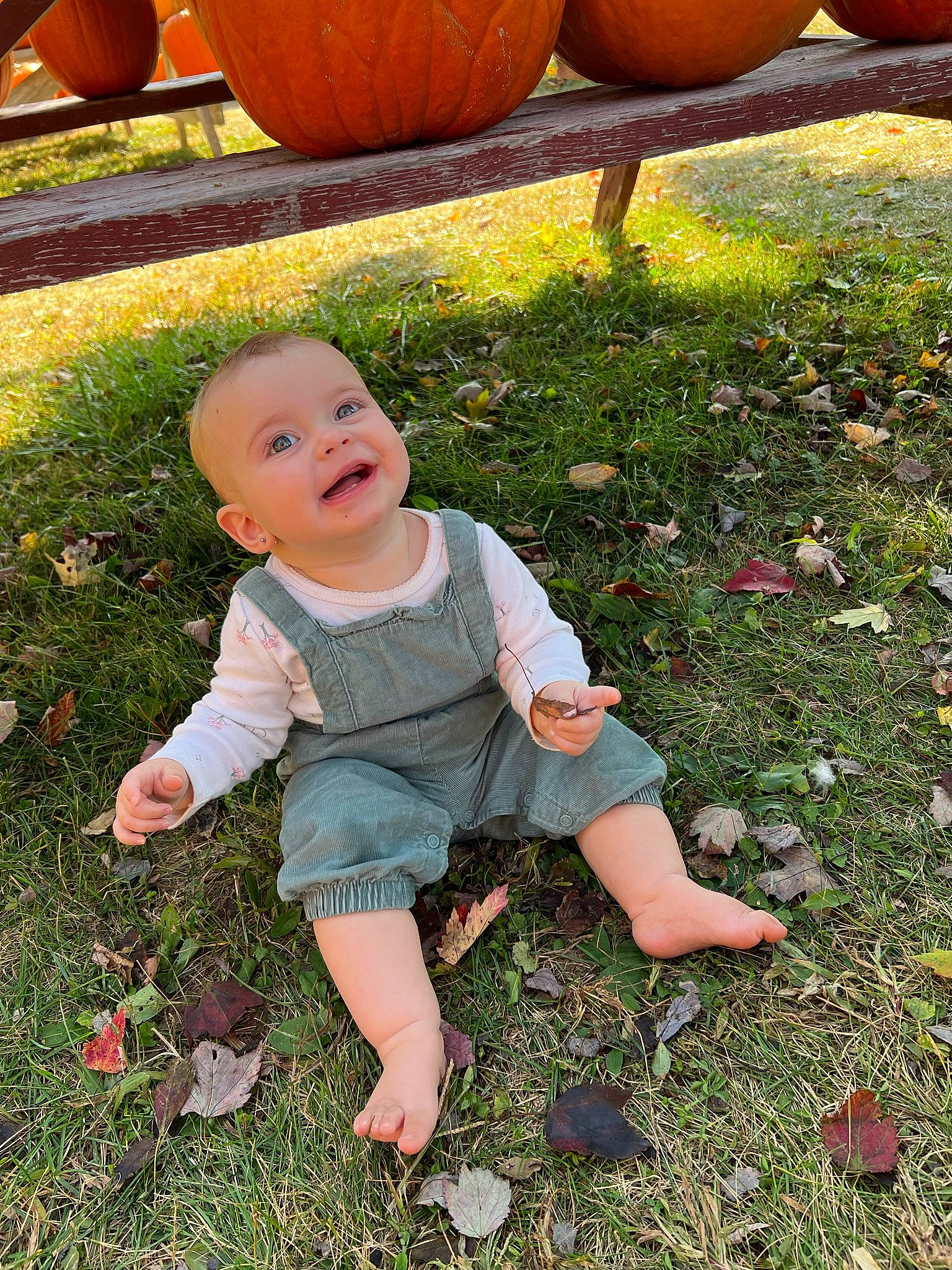 Avalynn joined the competition — help win amazing prizes! baby, baby_toddler_clothing, botany, calabaza, cucurbita, gourd, grass, groundcover, happy, head, joy, lawn, leaf, leisure, natural_foods, people_in_nature, person, plant, pumpkin, smile