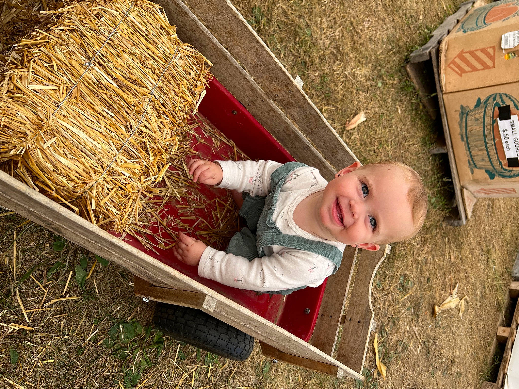 Avalynn is registered to the contest to win money with this photo: agriculture, baby_toddler_clothing, basket, box, child, event, fun, grass, happy, hay, joy, leisure, people_in_nature, person, plant, play, sitting, smile, soil, straw