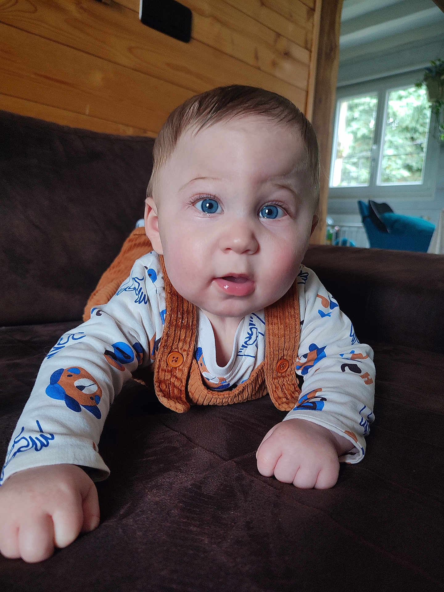 élizio a rejoint le concours — aidez-le/la à gagner de superbes lots ! baby, blue_eyes, cute, couch, indoor, infant, wooden_wall, window, orange_suspender, white_shirt, bear_print, child, face, hands, home, cozy, portrait, expression, furniture, person