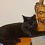 Uri a rejoint le concours — aidez-le/la à gagner de superbes lots ! black_cat, cat, wooden_statue, table, indoor, feline, relaxing, animal, carving, sculpture, wood, pet, domestic_cat, resting, fur, whiskers, ears, eyes, close_up, household_object