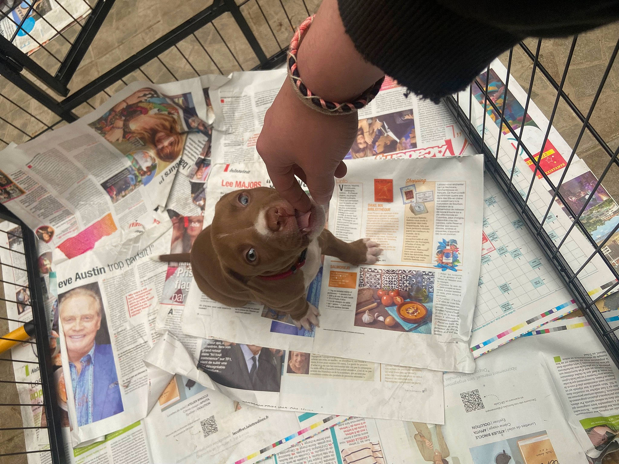 Nalla a rejoint le concours — aidez-le/la à gagner de superbes lots ! banknote, engineering, eyewear, flooring, font, fun, money, news, newsprint, paper, paper_product, pattern, publication, recreation, room, suit, visual_arts, world