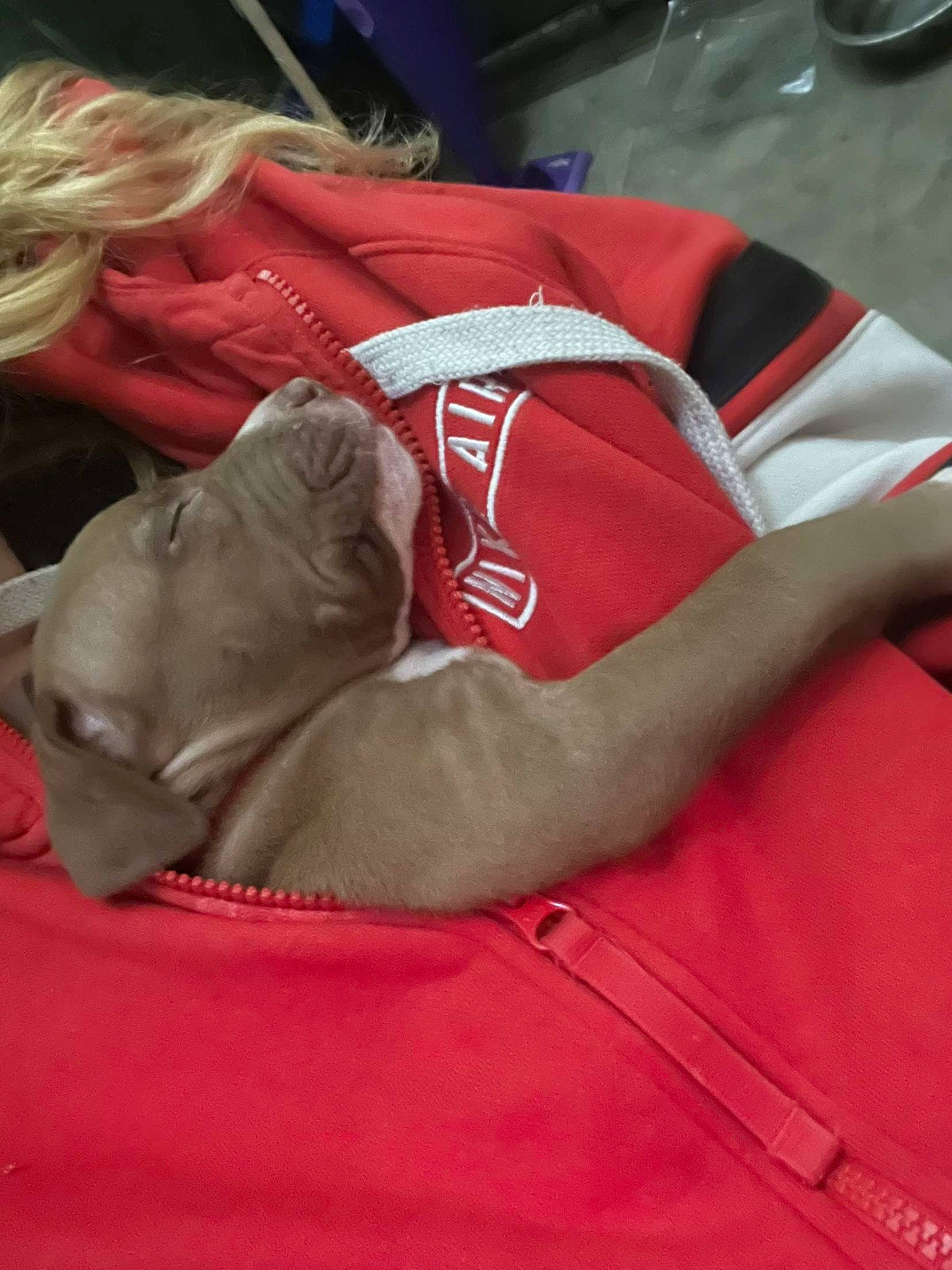 Nalla a rejoint le concours — aidez-le/la à gagner de superbes lots ! abdomen, bed_sheet, bedding, bedtime, carmine, chest, comfort, elbow, flesh, fur, human_leg, knee, linens, nap, sitting, sleep, sleeve, sportswear, thigh, wrinkle