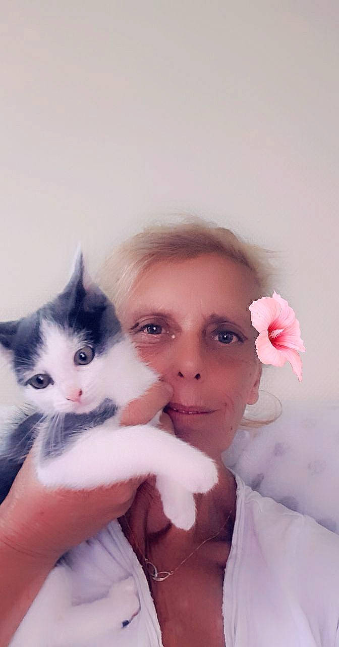 Câline participe au concours pour gagner de l'argent avec cette photo : carnivore, cat, dress, eye, eyebrow, eyelash, felidae, flash_photography, flower, fur, gesture, happy, iris, lip, long_hair, nose, petal, skin, small_to_medium_sized_cats, whiskers