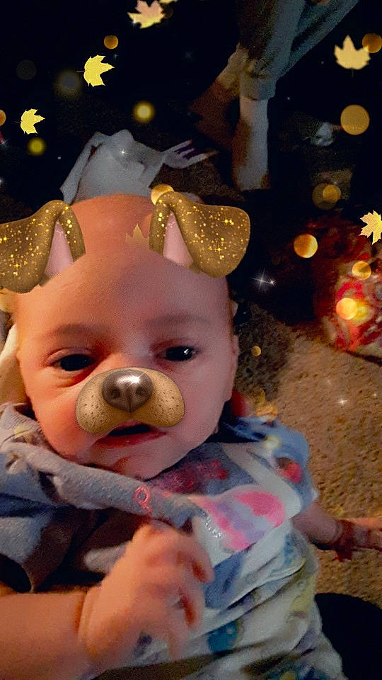 Cara joined the competition — help win amazing prizes! canidae, child, christmas, fawn, person, snout, toddler