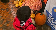 Mateo is registered to the contest to win money with this photo: child, toddler, red_coat, black_hair, back_view, pumpkins, autumn, fall, mums, flowers, halloween, cartoon_character, outdoor, brick_walkway, festival, seasonal_display, decoration, crowd, portrait, colorful