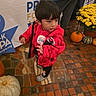 Mateo joined the competition — help win amazing prizes! child, toddler, portrait, red_jacket, fuzzy_coat, black_hair, short_hair, looking_away, outdoor, autumn, pumpkins, gourds, yellow_flowers, chrysanthemums, brick_floor, market, sign, clothing, shoes, standing