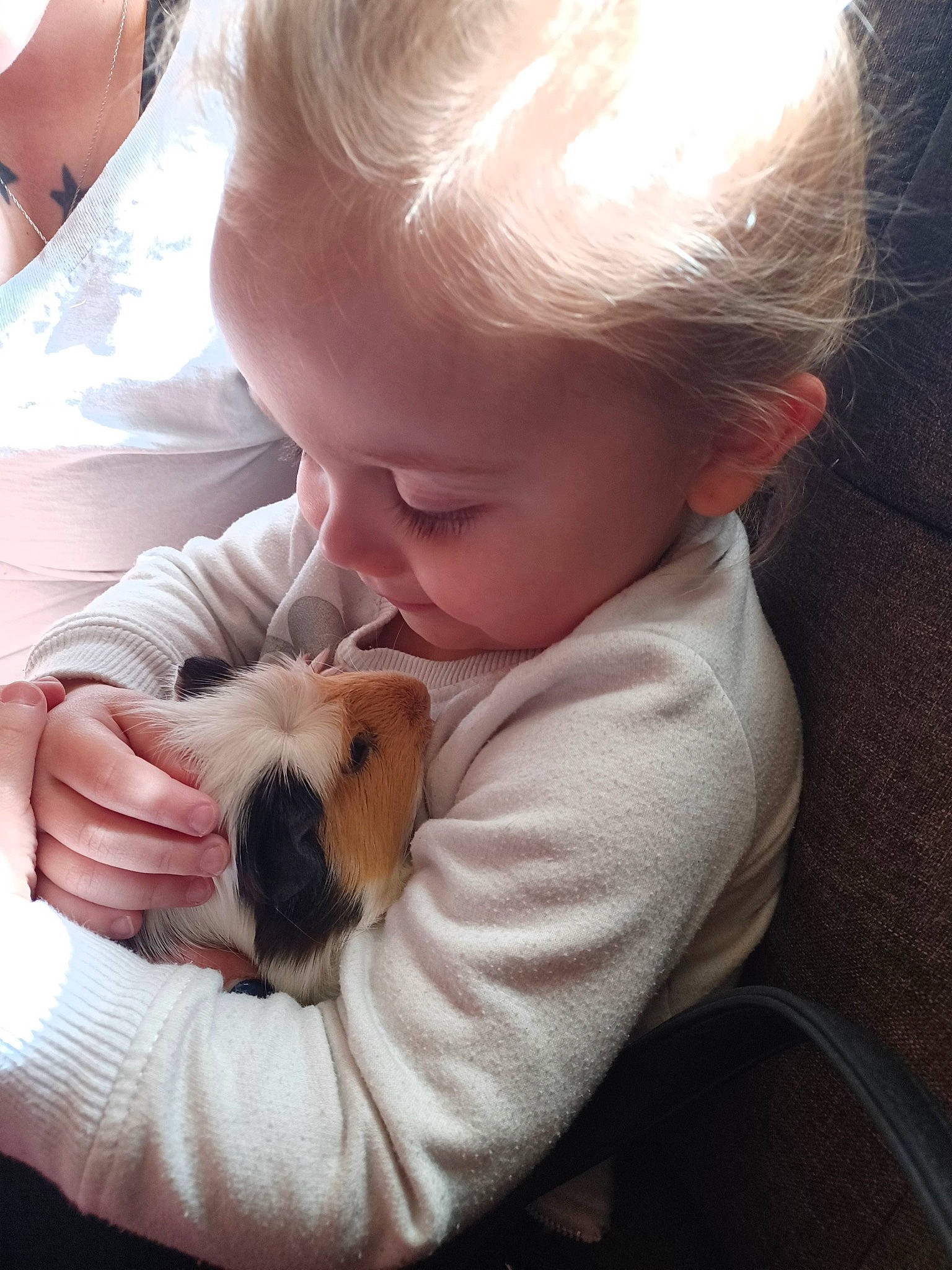 Haisley is registered to the contest to win money with this photo: baby, canidae, carnivore, child, comfort, companion_dog, dog, dog_breed, ear, fawn, fur, hairstyle, happy, human_body, lap, nose, person, sitting, skin, sporting_group