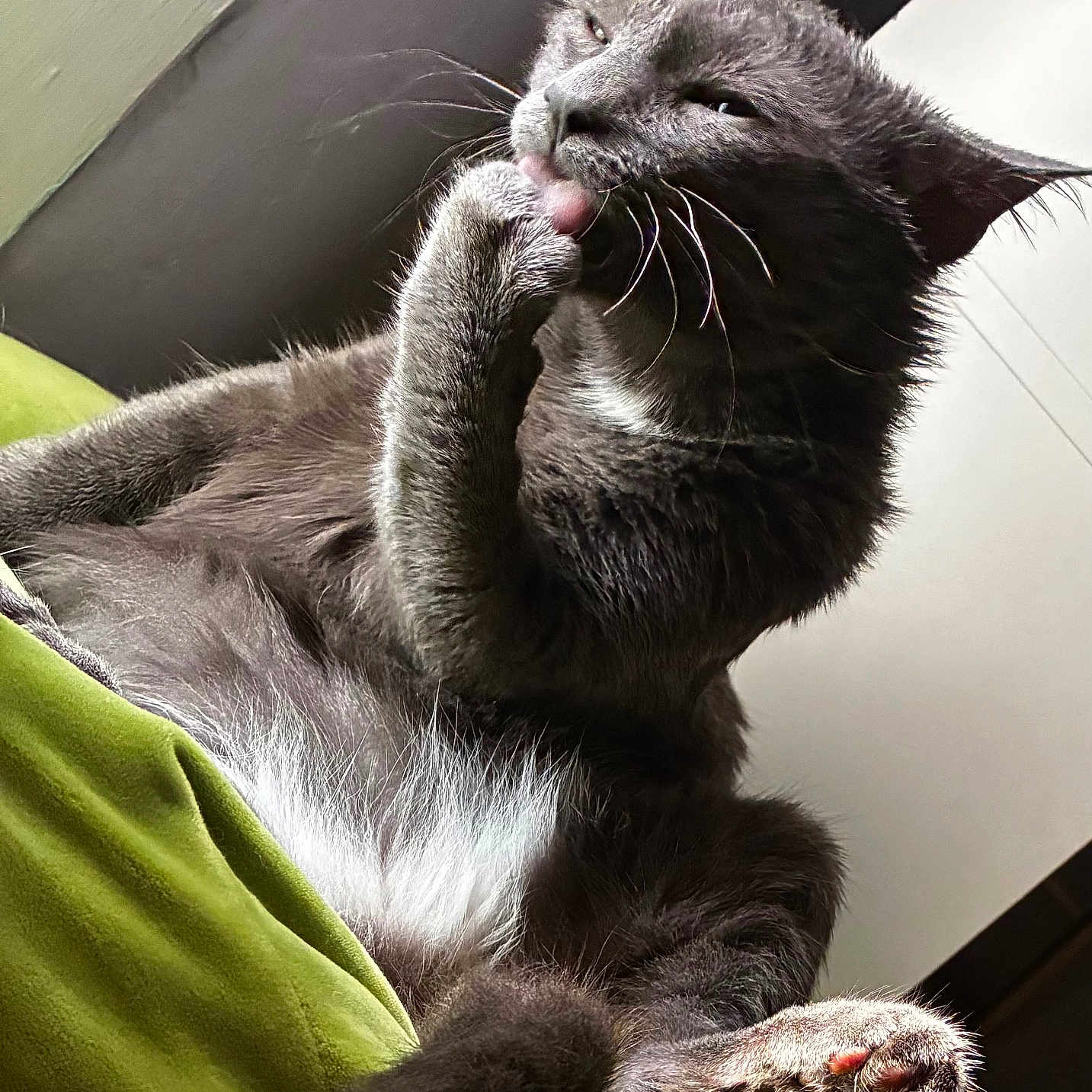Theodore