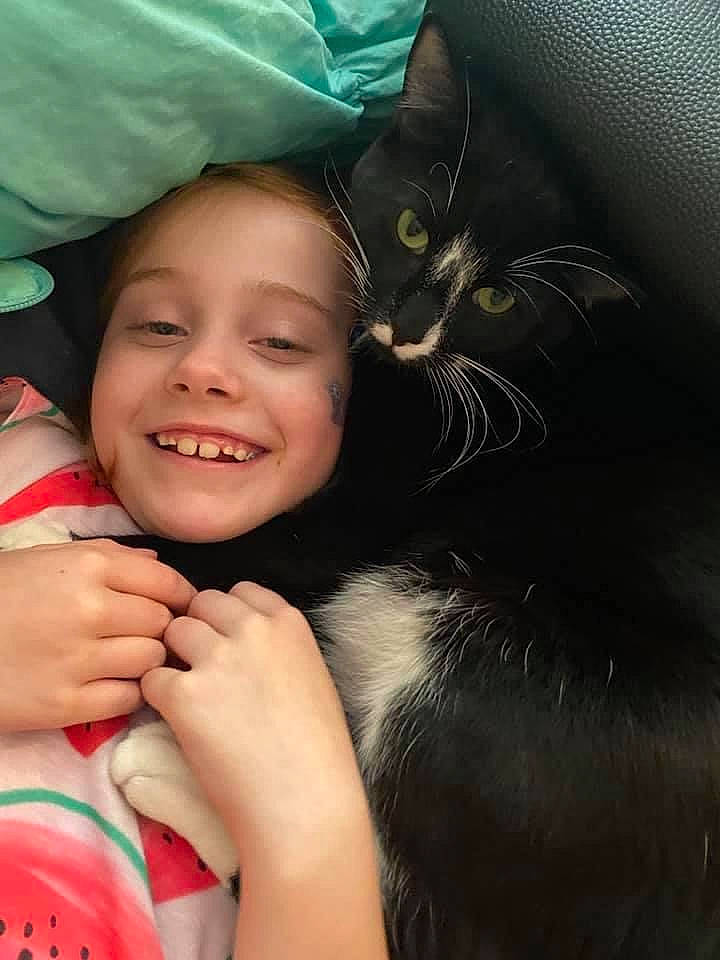 Vader joined the competition — help win amazing prizes! arm, black_hair, carnivore, cat, cool, finger, flash_photography, gesture, hand, happy, human_body, interaction, leg, lip, mammal, neck, skin, smile, tree, trunk