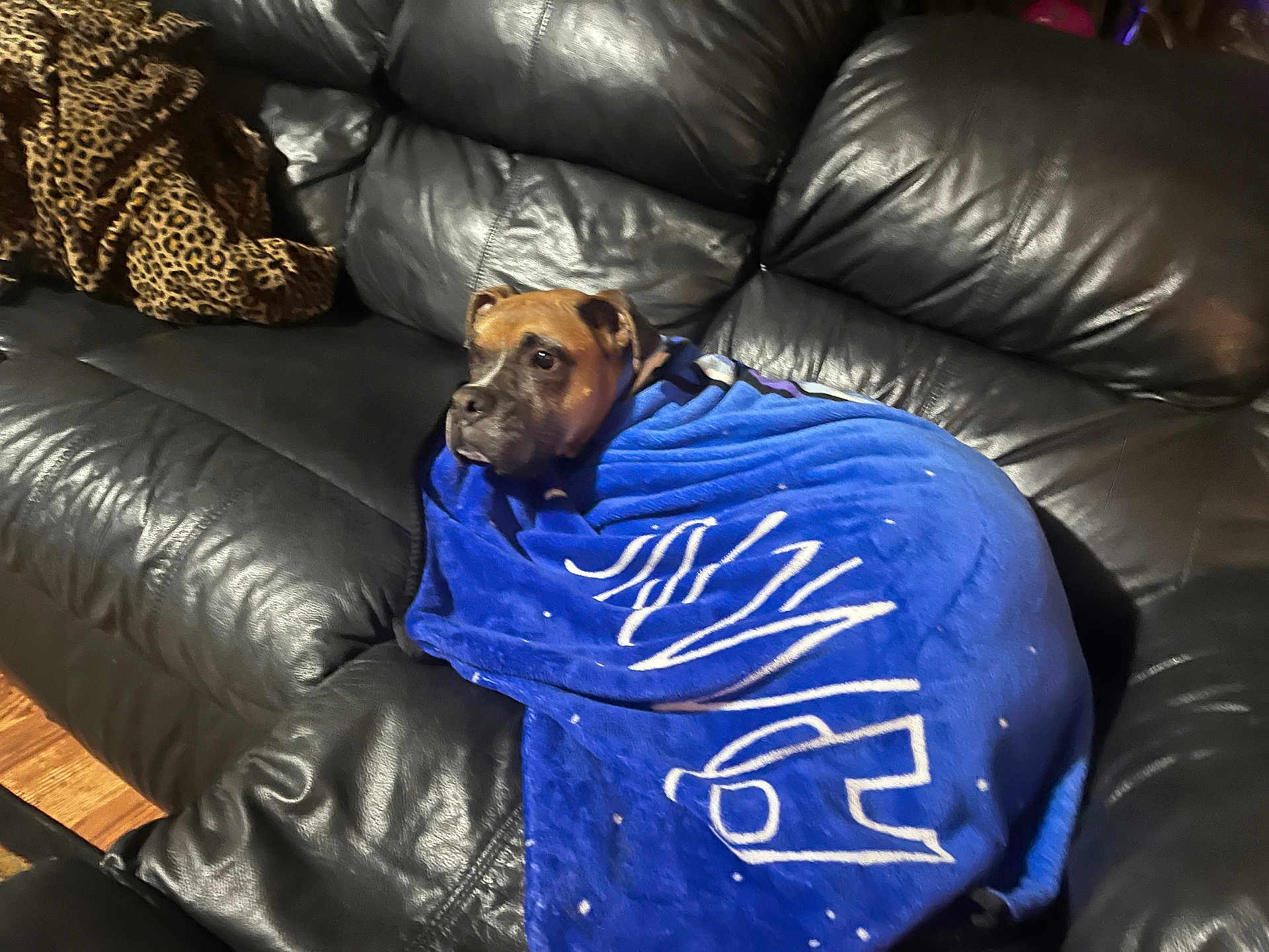 Tyson