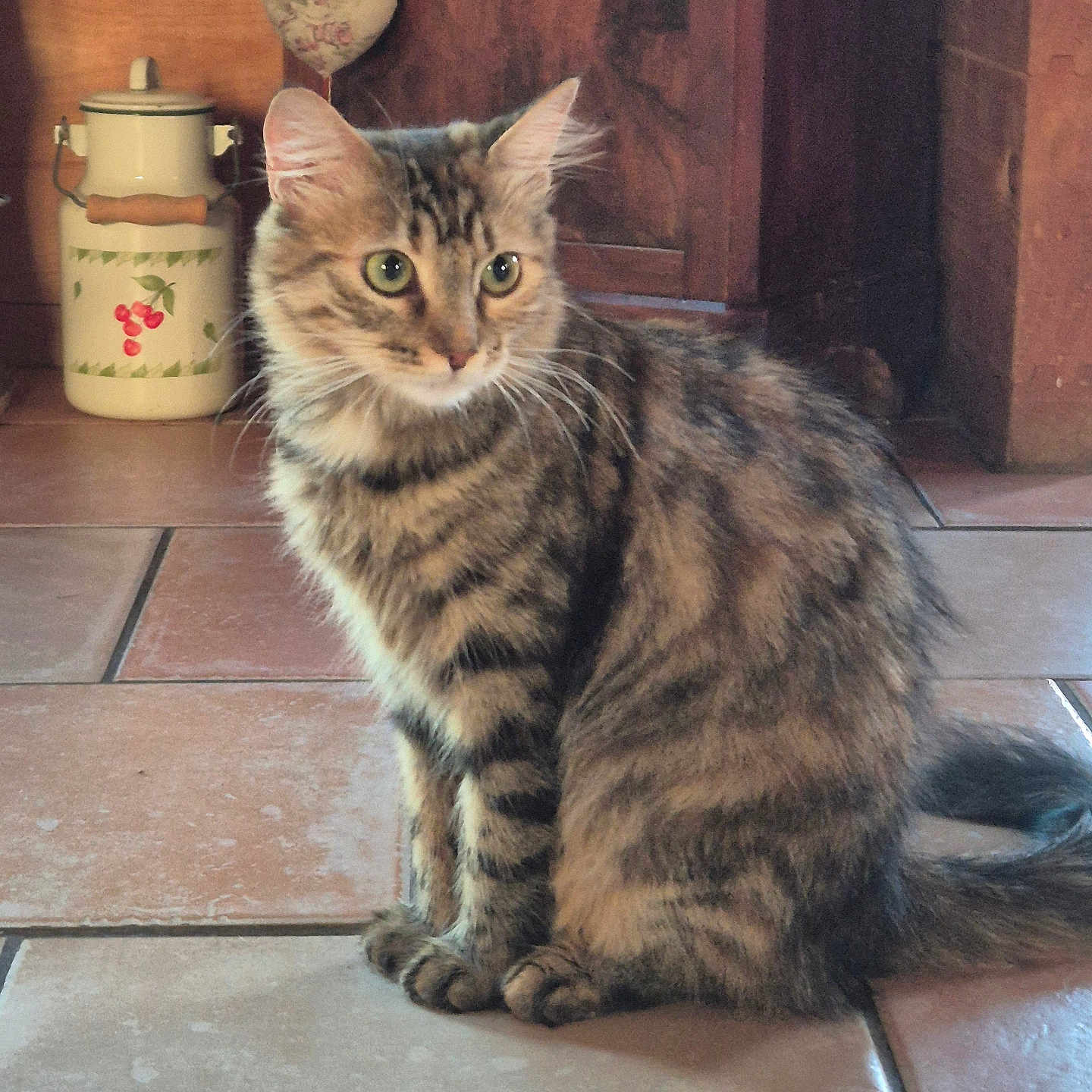 Chouette