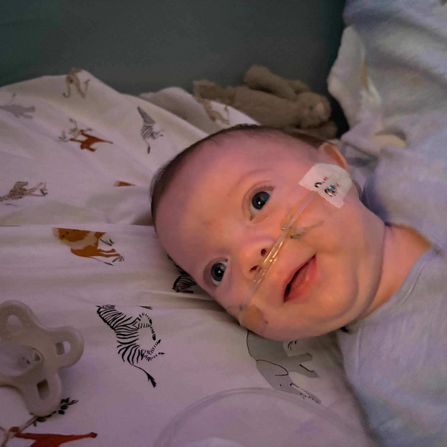 Hunter joined the competition — help win amazing prizes! animal_print, baby, bed, blue_clothing, child, cute, expression, face, indoors, infant, lying_down, medical_device, nasal_cannula, pacifier, person, plush_toy, sheet, skin, smile, young