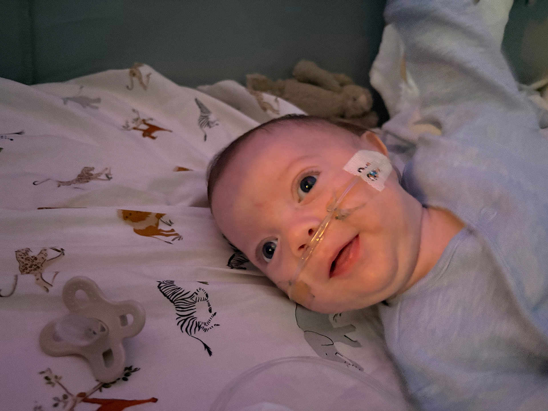 Hunter joined the competition — help win amazing prizes! animal_print, baby, bed, blue_clothing, child, cute, expression, face, indoors, infant, lying_down, medical_device, nasal_cannula, pacifier, person, plush_toy, sheet, skin, smile, young