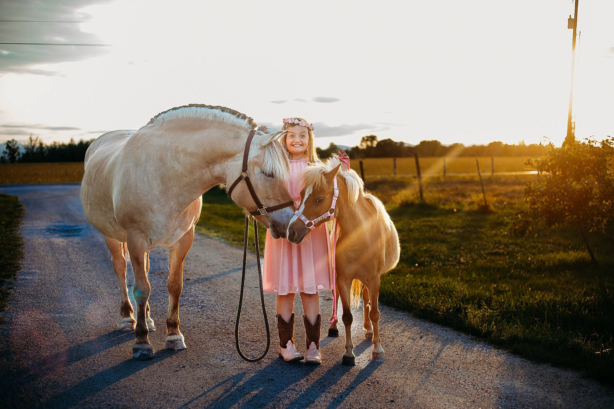 Maci is registered to the contest to win money with this photo: asphalt, bridle, fawn, grass, grassland, headwear, horse, horse_supplies, horse_tack, joy, landscape, livestock, mane, pack_animal, person, plant, recreation, rein, road, sky
