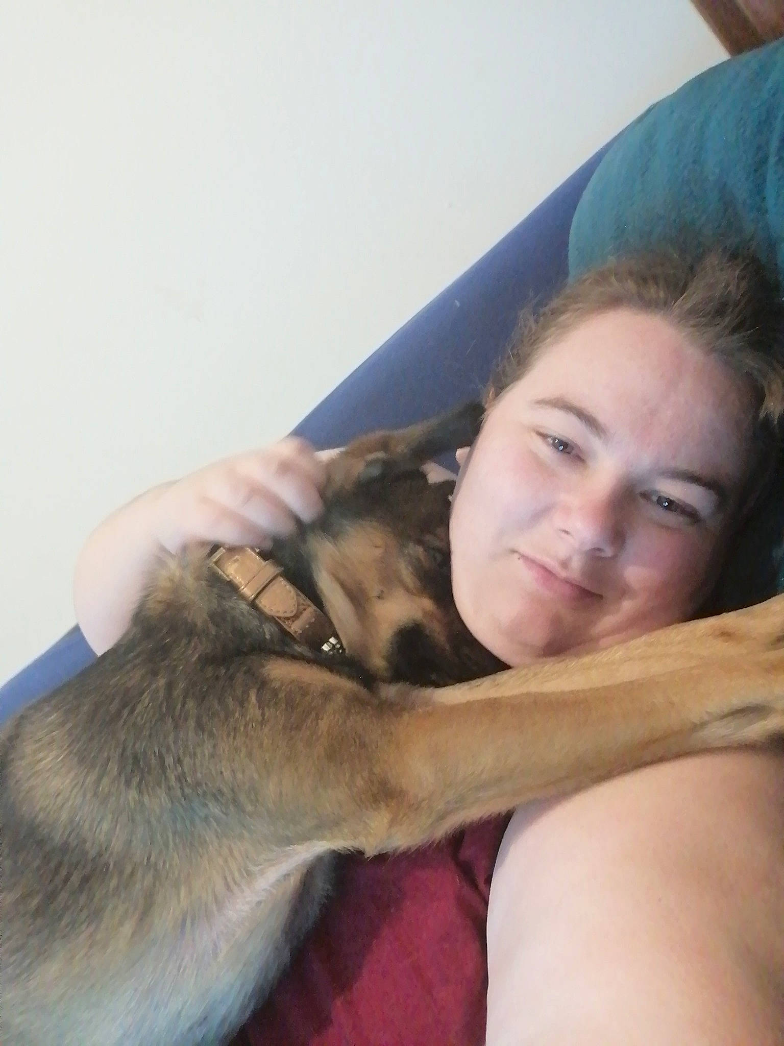 Maya a rejoint le concours — aidez-le/la à gagner de superbes lots ! canidae, carnivore, dog, dog_breed, ear, fawn, puppy_love, sporting_group, wolfdog