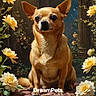 Pistol joined the competition — help win amazing prizes! dog, chihuahua, pet, animal, portrait, sitting, brown_fur, large_ears, dark_eyes, black_nose, fluffy_chest, flowers, daisies, garden, outdoor, nature, symmetrical_composition, close_up, ai_generated, watermark