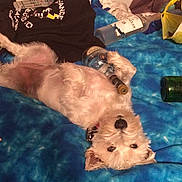 Layla joined the competition — help win amazing prizes!