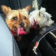 Angie is registered to the contest to win money with this photo: