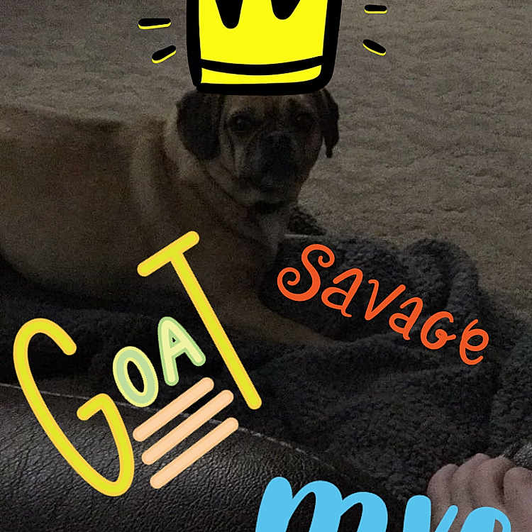 Zoe joined the competition — help win amazing prizes! finger, font, graphics, logo, photo_caption, yellow