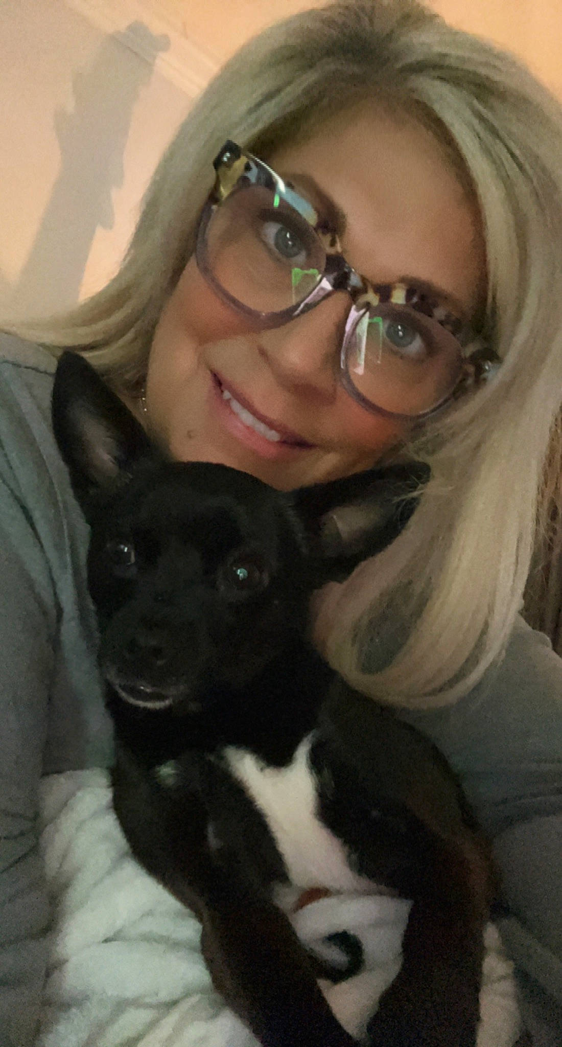 Gucci The Poochie joined the competition — help win amazing prizes! black_hair, carnivore, companion_dog, dog, dog_breed, ear, eye, eyewear, glasses, happy, head, human_body, jaw, nose, organ, skin, smile, snout, vision_care, whiskers