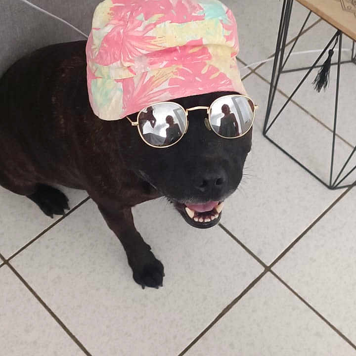 Marley