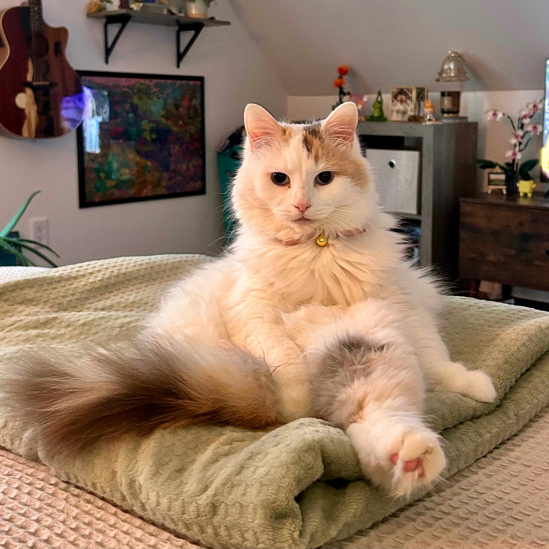 Coco