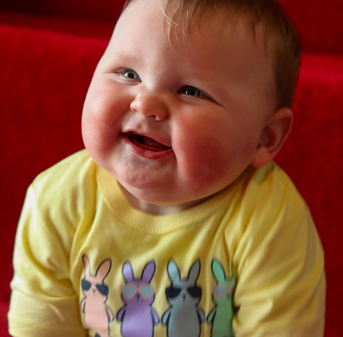 Everett is registered to the contest to win money with this photo: baby, baby_laughing, baby_making_funny_faces, baby_toddler_clothing, cheek, child, cool, ear, eye, eyelash, fun, happy, iris, mouth, nose, person, sleeve, smile, t_shirt, toddler