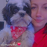 Dyson a rejoint le concours — aidez-le/la à gagner de superbes lots ! dog, woman, pet, red_bandana, portrait, indoor, face, cute, fluffy, companion, smile, holding, closeup, friendship, animal, love, casual, happy, cozy, text_overlay