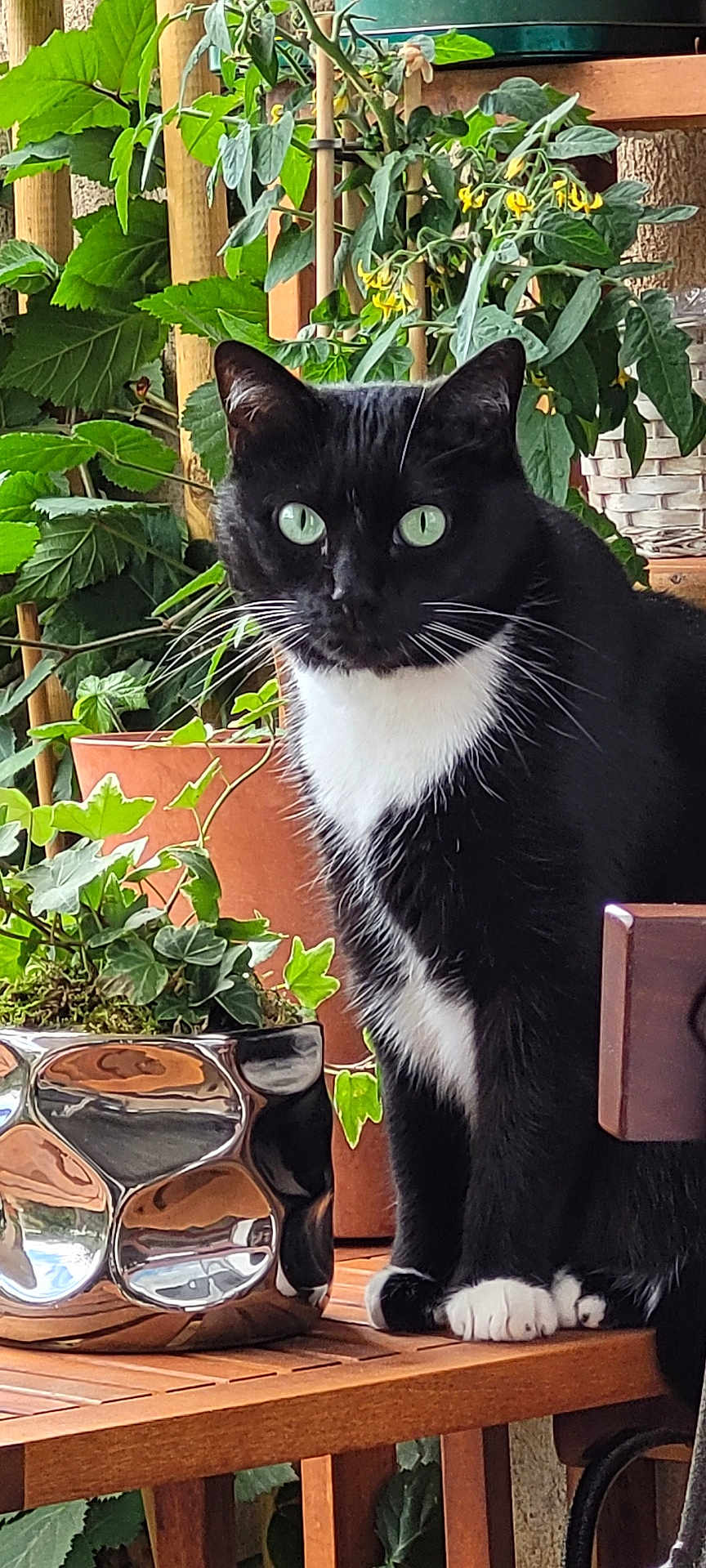 Pixel