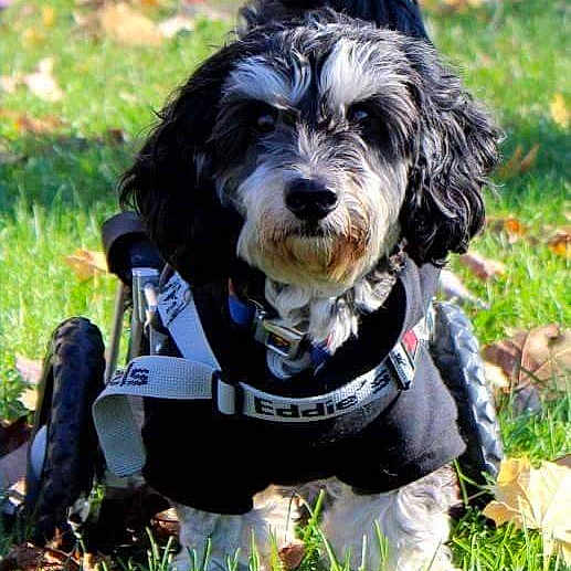 Wheeler is registered to the contest to win money with this photo: