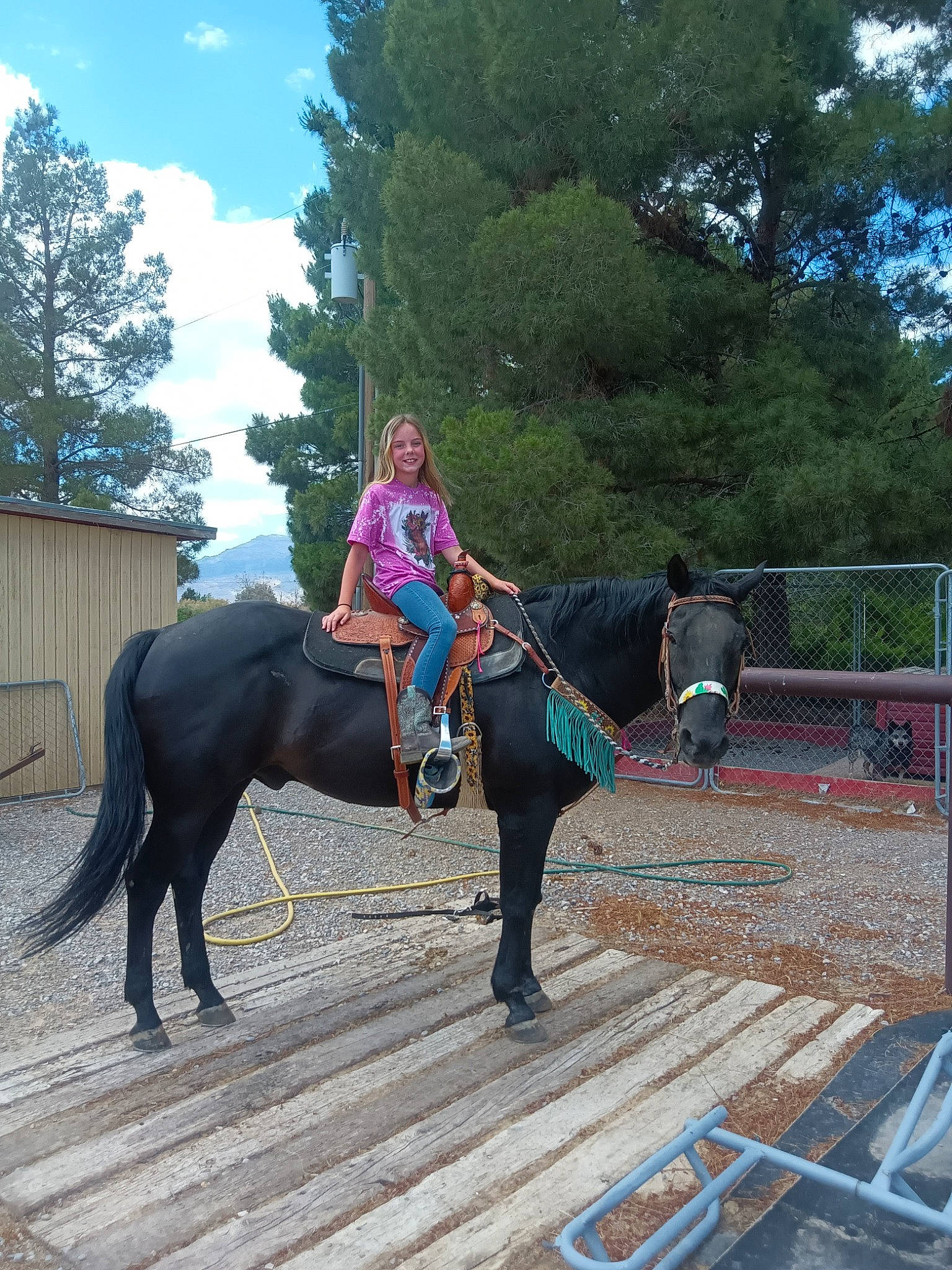 Penny is registered to the contest to win money with this photo: bit, boot, bridle, cloud, equestrian_sport, equestrianism, horse, horse_supplies, horse_tack, jockey, joy, leisure, mane, pack_animal, person, plant, recreation, rein, saddle, sky