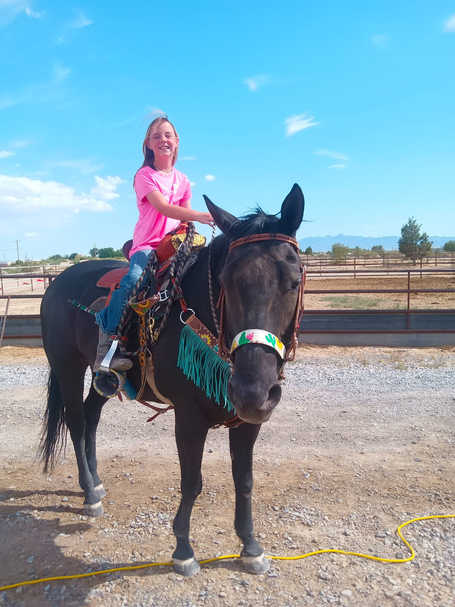 Penny is registered to the contest to win money with this photo: bit, bridle, cloud, equestrian_sport, equestrianism, halter, horse, horse_supplies, horse_tack, joy, landscape, mane, mare, pack_animal, person, plant, rein, saddle, sky, travel