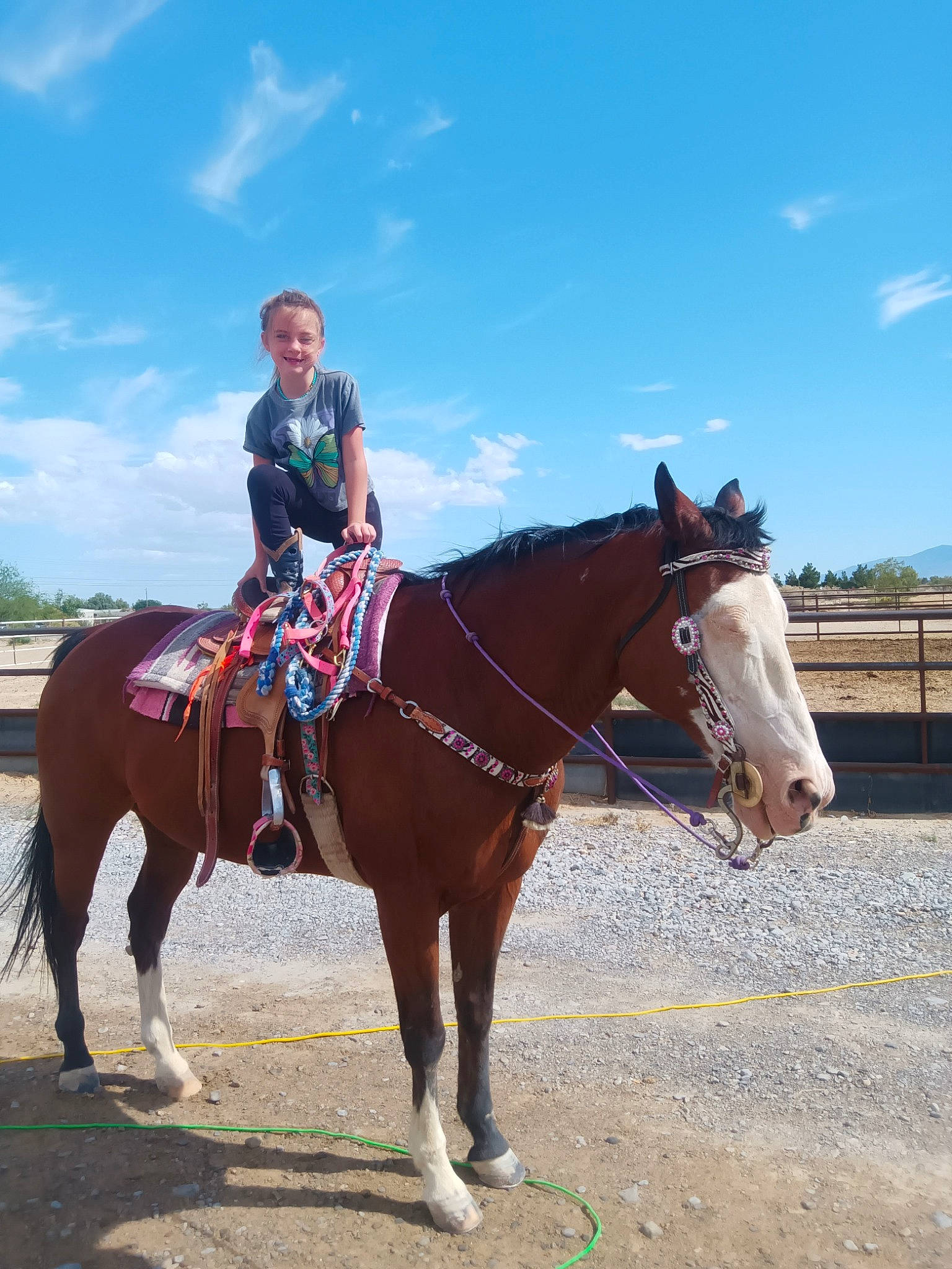 Avery is registered to the contest to win money with this photo: animal_sports, bit, bridle, cloud, equestrian_sport, equestrianism, halter, horse, horse_supplies, horse_tack, joy, landscape, mane, outdoor_recreation, person, recreation, rein, saddle, sky, sports