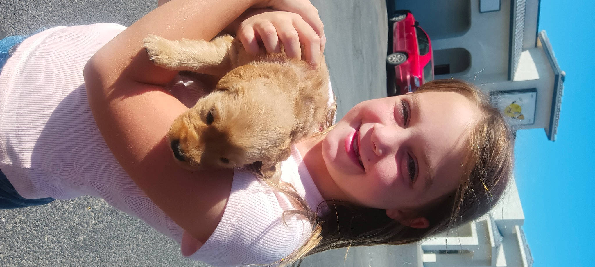 Avery joined the competition — help win amazing prizes! canidae, carnivore, child, companion_dog, dog, dog_breed, eyelash, fawn, fun, fur, gesture, happy, joy, mammal, person, puppy_love, skin, smile, snout, sporting_group