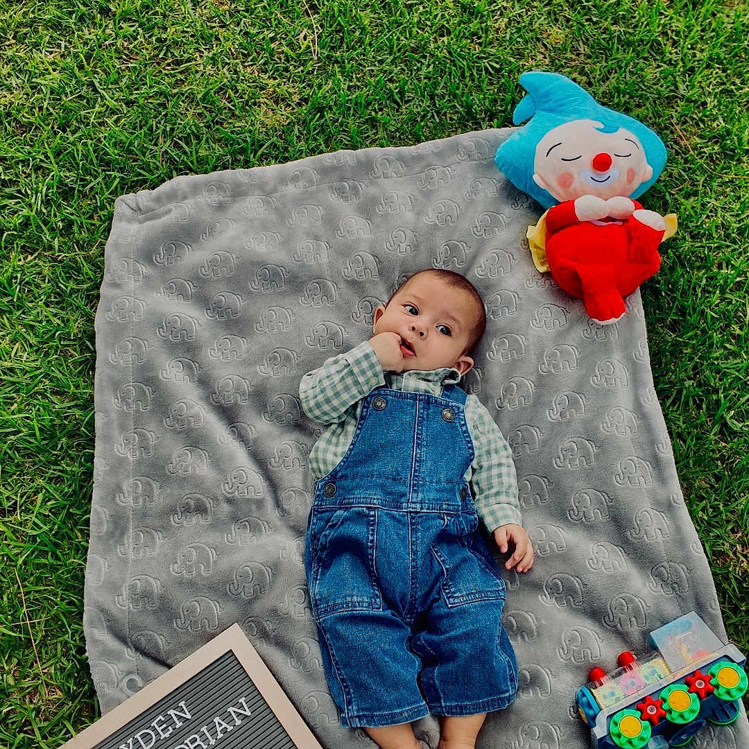 Jayden is registered to the contest to win money with this photo: baby, child, infant, outdoor, grass, blanket, denim_overalls, plaid_shirt, plush_toy, clown_doll, colorful_toy, letter_board, portrait, lying_down, looking_at_camera, hand_to_mouth, monthly_milestone, natural_light, greenery, family_photo