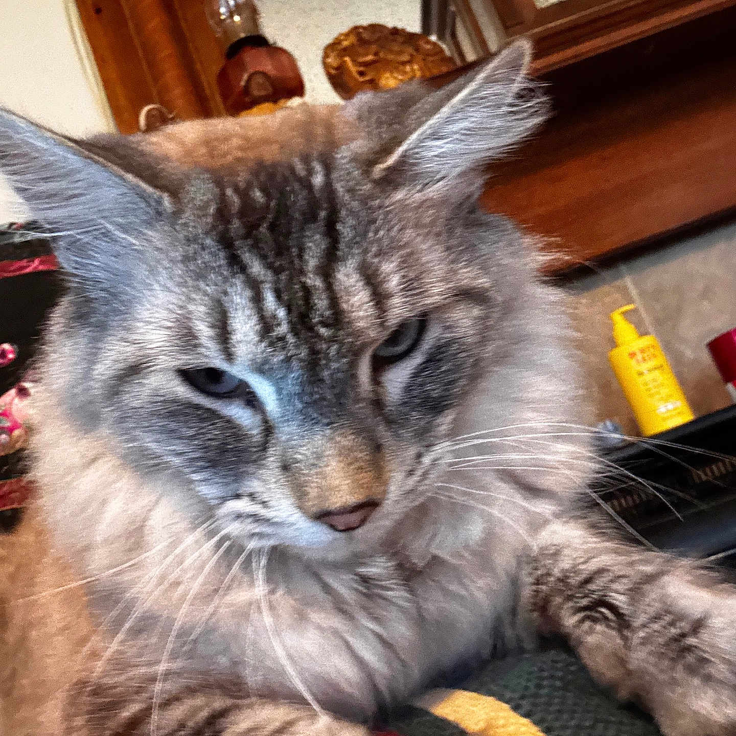 Franklin