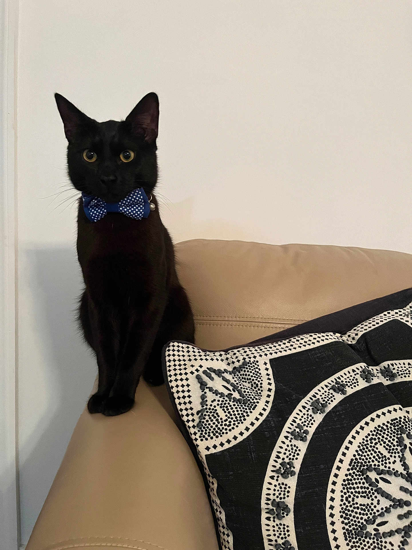 Logan