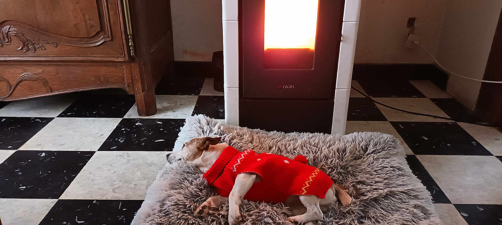 Hadjy a rejoint le concours — aidez-le/la à gagner de superbes lots ! dog, red_sweater, sleeping, fluffy_bed, heater, warm_light, black_and_white_floor, checkered_floor, wooden_furniture, indoor, cozy, pet, resting, quiet, relaxed, floor_tiles, small_dog, home, comfort, winter