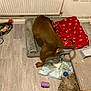 Coba Rodriguez joined the competition — help win amazing prizes! dog, brown_dog, dog_bed, red_blanket, paw_prints, floor, mop, toy, stuffed_toy, purple_cup, blue_ball, cables, radiator, wall, wooden_floor, indoor, pet, animal, collar, tail