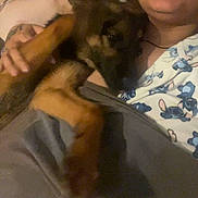 Ava Lee Casey joined the competition — help win amazing prizes! animal, bedroom, blanket, casual, closeup, comfort, cuddling, dog, face, home, human, indoor, pajamas, person, relaxing, resting, sleepy, soft, tattoo, warm