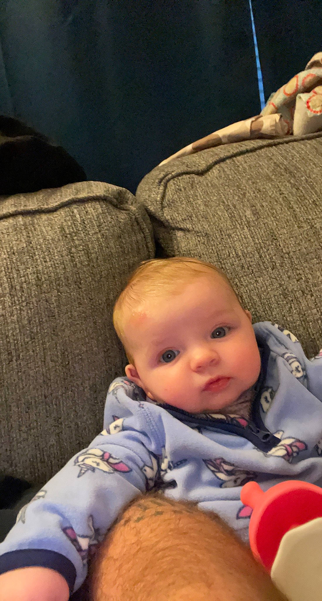 Madelynn is registered to the contest to win money with this photo: baby, baby_toddler_clothing, carmine, cheek, child, chin, comfort, couch, finger, fun, iris, mammal, mouth, nose, person, room, sitting, skin, textile, toddler