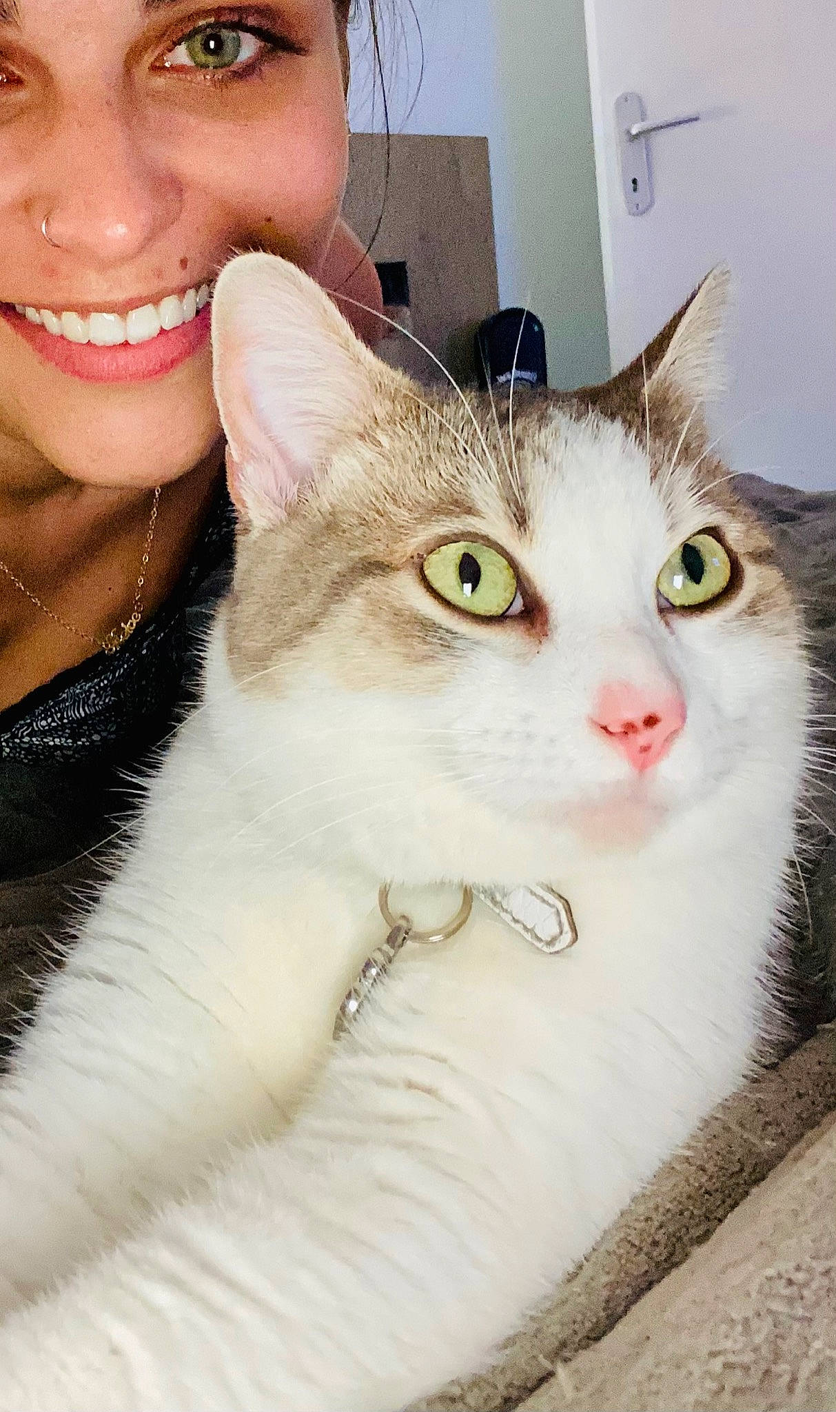 Lya participe au concours pour gagner de l'argent avec cette photo : carnivore, cat, collar, door, ear, eye, eyebrow, eyelash, felidae, gesture, hat, jaw, nose, organ, small_to_medium_sized_cats, smile, snout, vertebrate, whiskers, window