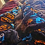 cat, black_cat, sleeping, pajama_pants, pumpkin_pattern, halloween_theme, bed, blanket, legs, cozy, indoor, relaxing, sunlight, feline, pet, resting, soft_light, comfort, clothing, animal