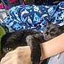 cat, black_cat, sleeping, arm, hand, blanket, cartoon_pattern, fleece, cozy, resting, indoor, comfort, animal, pet, fur, cute, relaxation, soft, nap, close_up