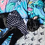 animal, bed, black_cat, blanket, cat_pattern, comfort, cozy, cute, domestic, feline, floral_pattern, fur, indoor, pet, relaxing, rest, sleeping, soft, striped_shirt, whiskers