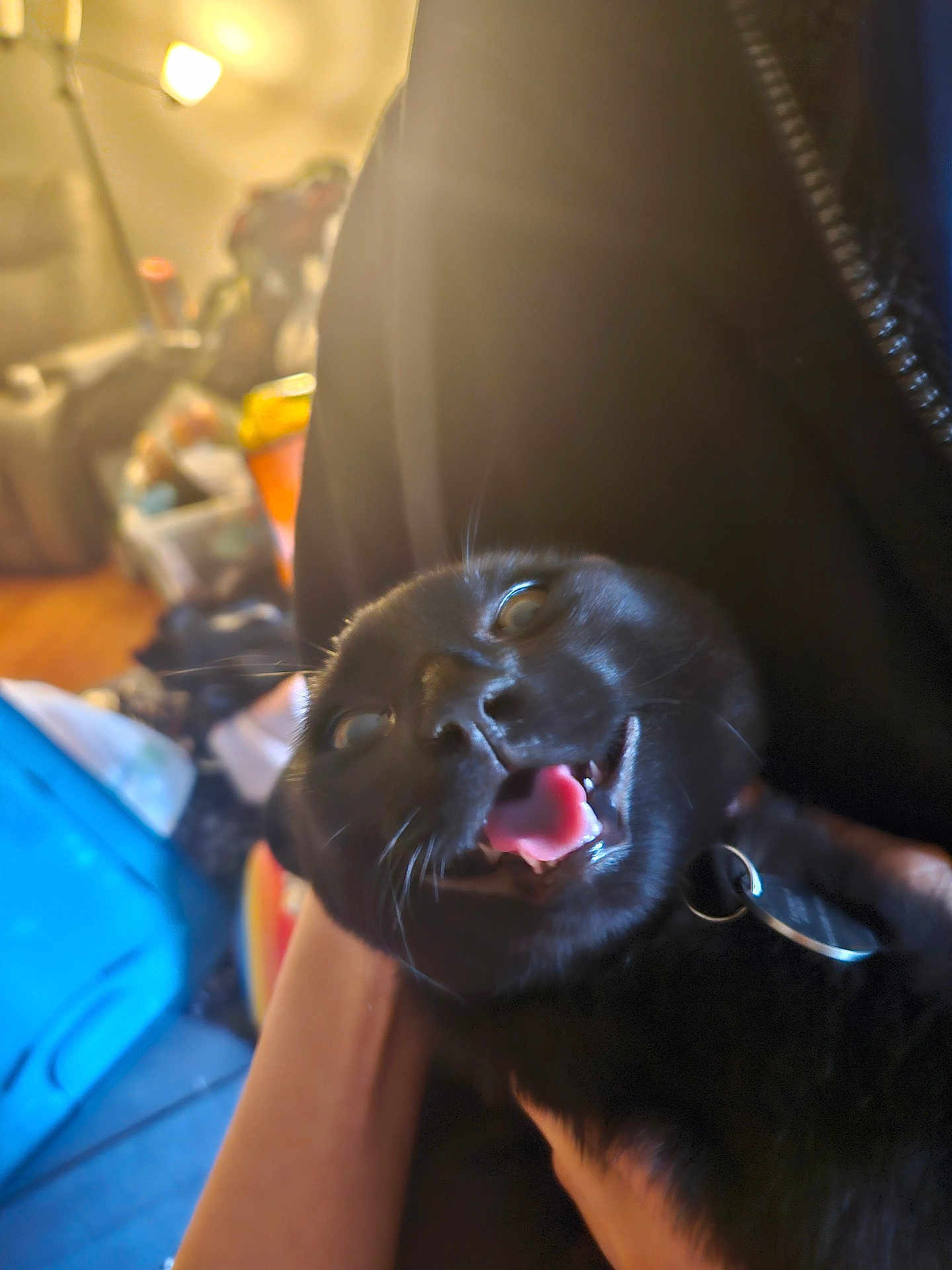 Oliver