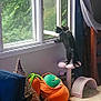 cat, window, greenery, cat_perch, indoor, plush_toys, carpet, curtains, sofa, blanket, wood_floor, furniture, pets, curious, black_cat, daylight, cozy, home, looking_out, relaxation