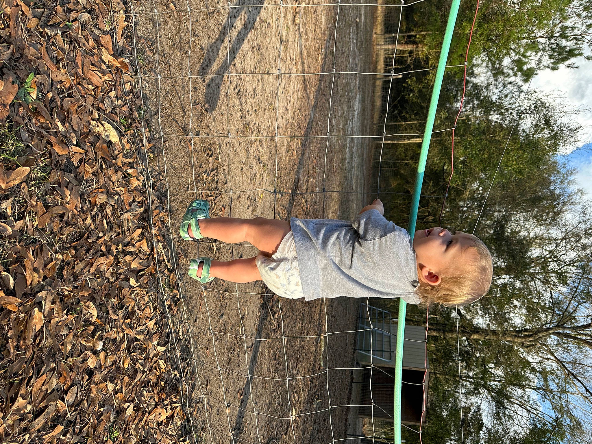 Lennon is registered to the contest to win money with this photo: adventure, asphalt, branch, concrete, elbow, fun, grass, leisure, people_in_nature, person, plant, recreation, rope, shadow, sky, soil, tree, trunk, wood, woody_plant