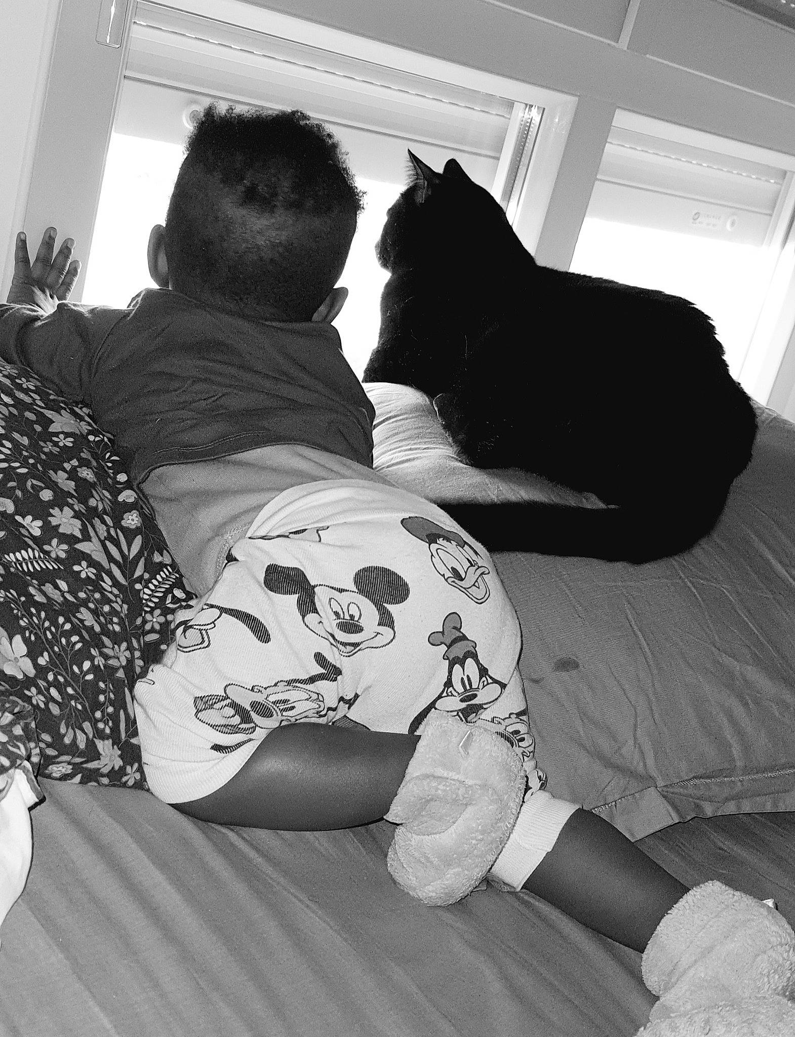 Phoenix a rejoint le concours — aidez-le/la à gagner de superbes lots ! black, black_and_white, black_hair, carnivore, cat, comfort, couch, elbow, happy, human_leg, knee, mammal, monochrome, style, textile, thigh, tints_and_shades, vertebrate, white, window